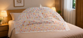 Mosquito Net (Multi floral)